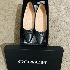 Anabel ballet shoes (coach)